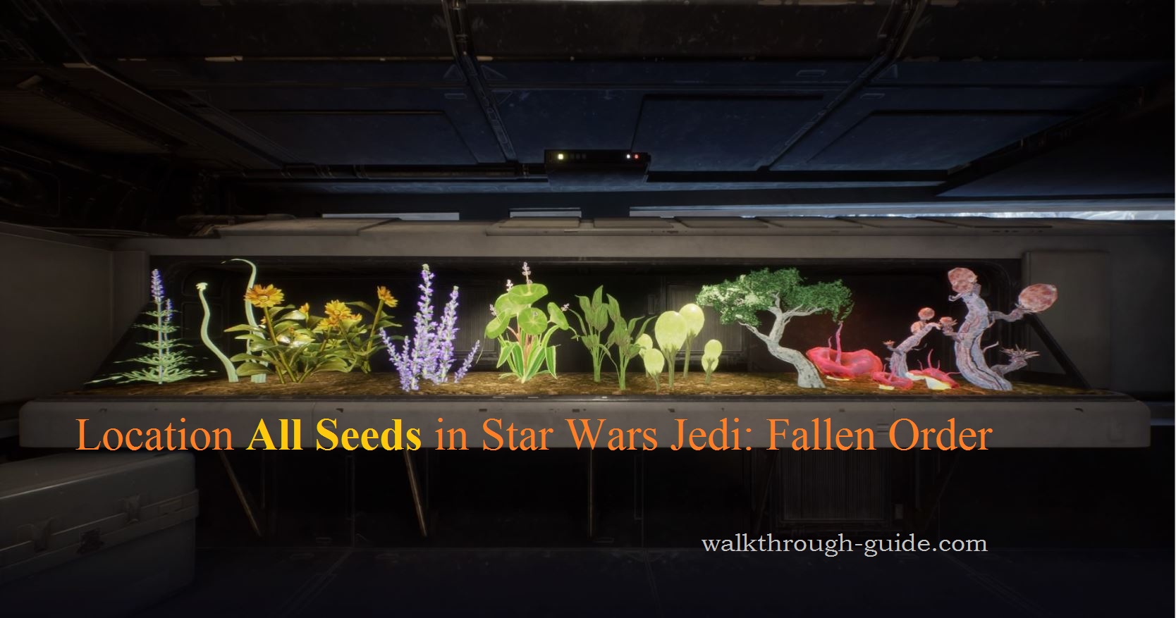 Location All Seeds in Star Wars Jedi: Fallen Order